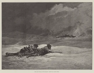 Der letzte Stängel der Saison